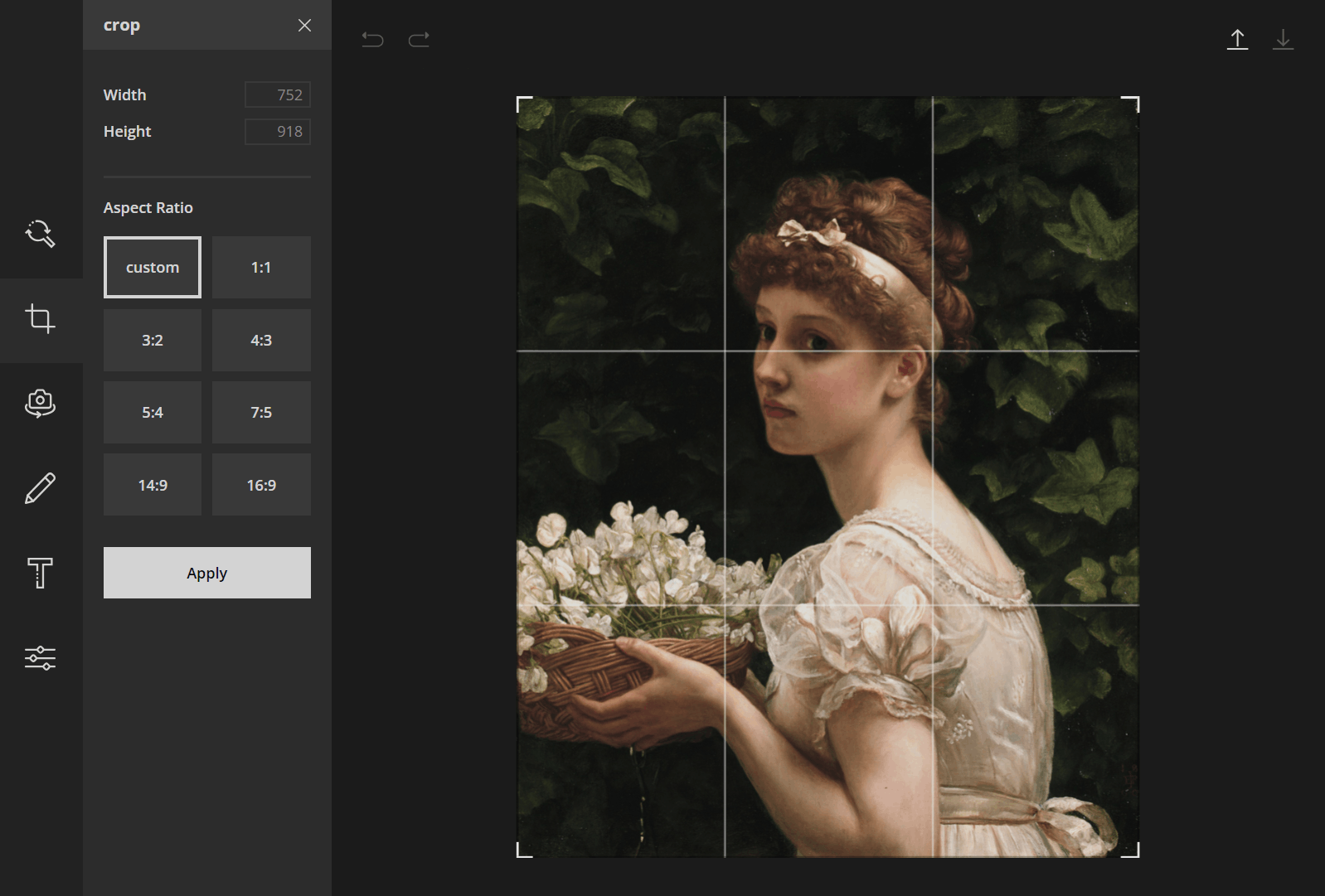 image-editor